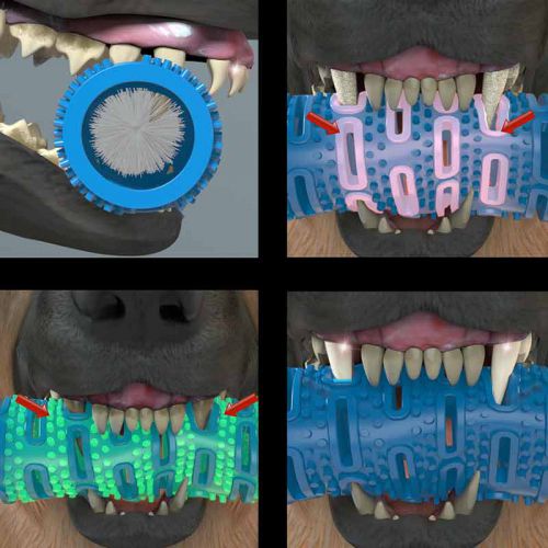 CEPILLO DE DIENTES PARA PERROS