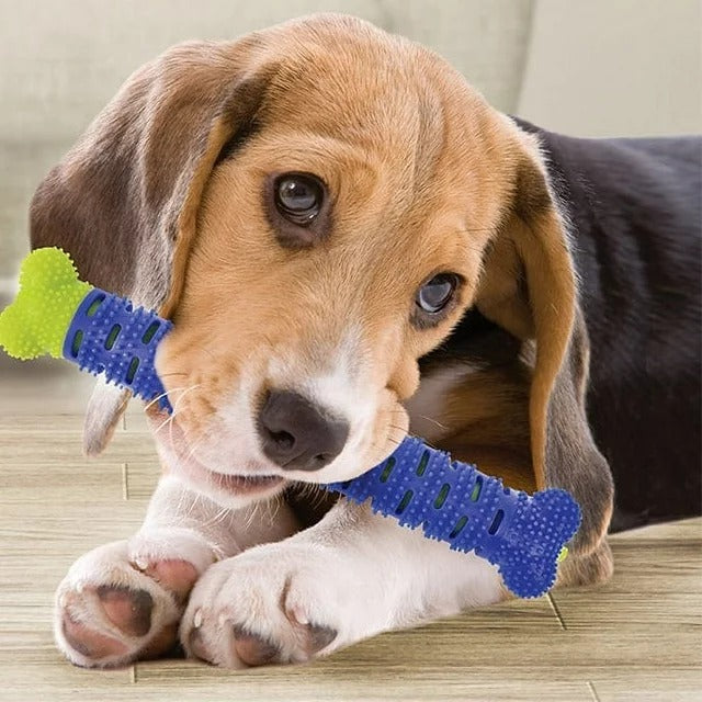 CEPILLO DE DIENTES PARA PERROS