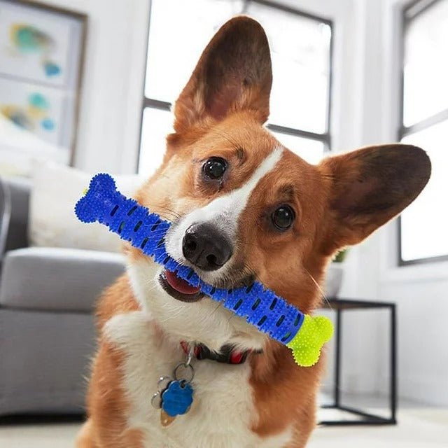 CEPILLO DE DIENTES PARA PERROS